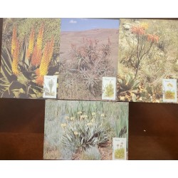 O) 1986 TRANSKEI - SOUTH AFRICA, PICTURES - FLOWERS - NATIONAL PHILATELIC EXHIBITION HELD AT JOHANNES, MAXIMUM CARD X