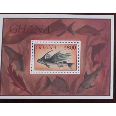 O) 1991 GHANA, FISH - DACTYLOPTENA ORIENTALIS, MNH