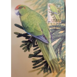 SD)2009. AUSTRALIA. BIRDS. MAXIMUM CARD.