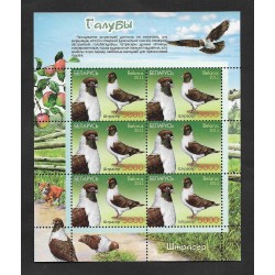 "SD)2011 BELARUS PIGEONS, ORIGIN OF THE STRASSER, ""THEY DO NOT FLY WELL, THEY ARE TEMPERAMENTAL"", SOUVENIR SHEET, MNH"