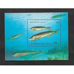 SD)1993 AZERBAIJAN FISH, STURGEON 10K, SOUVENIR SHEET, MNH